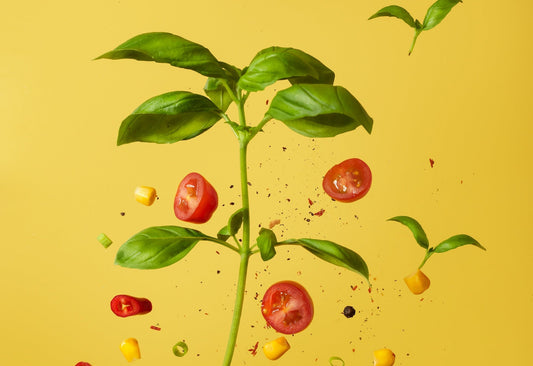 better for you better fuel