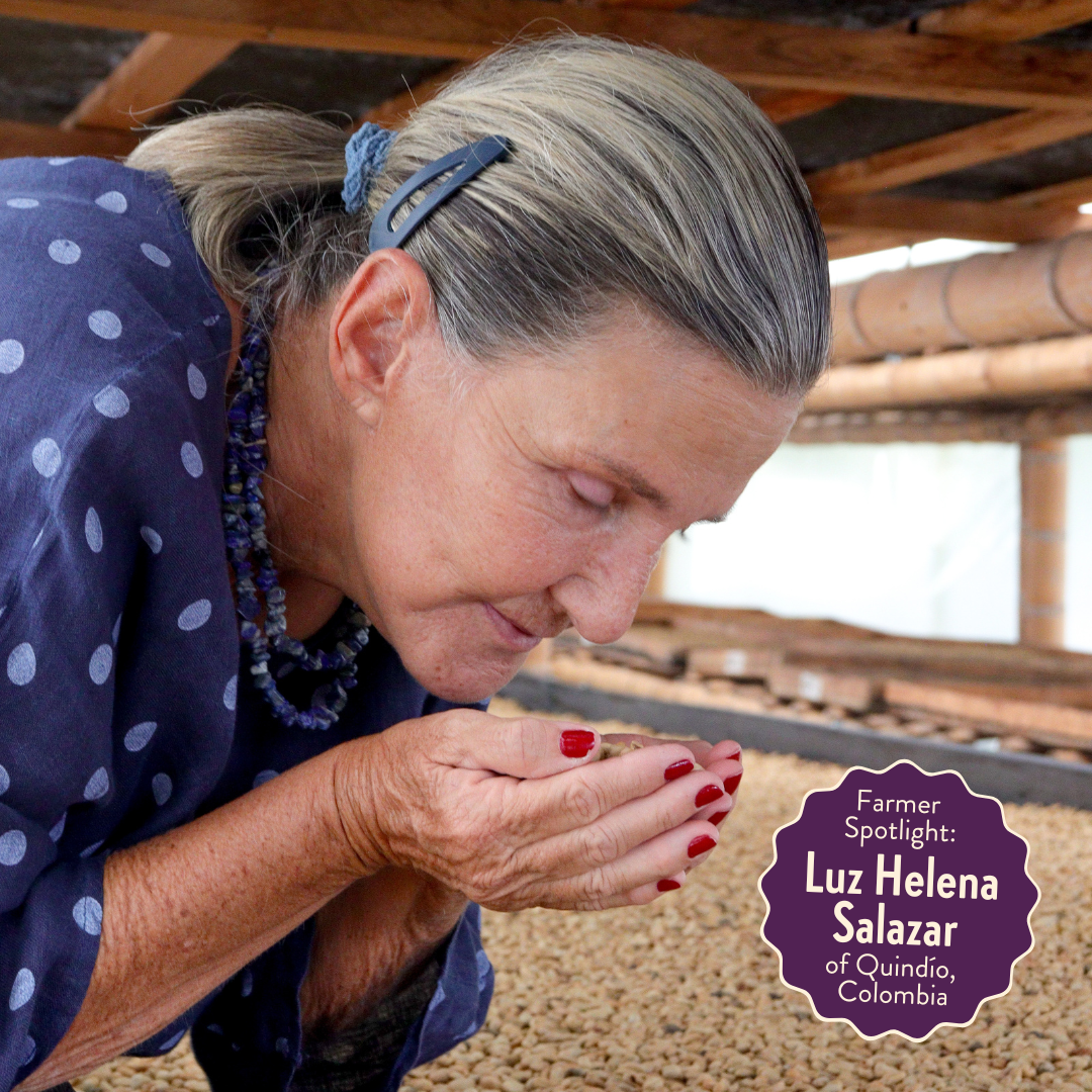 Lil' Red | Decaf Single Origin | Colombia | Swiss Water Process Decaffeinated (Wholesale)