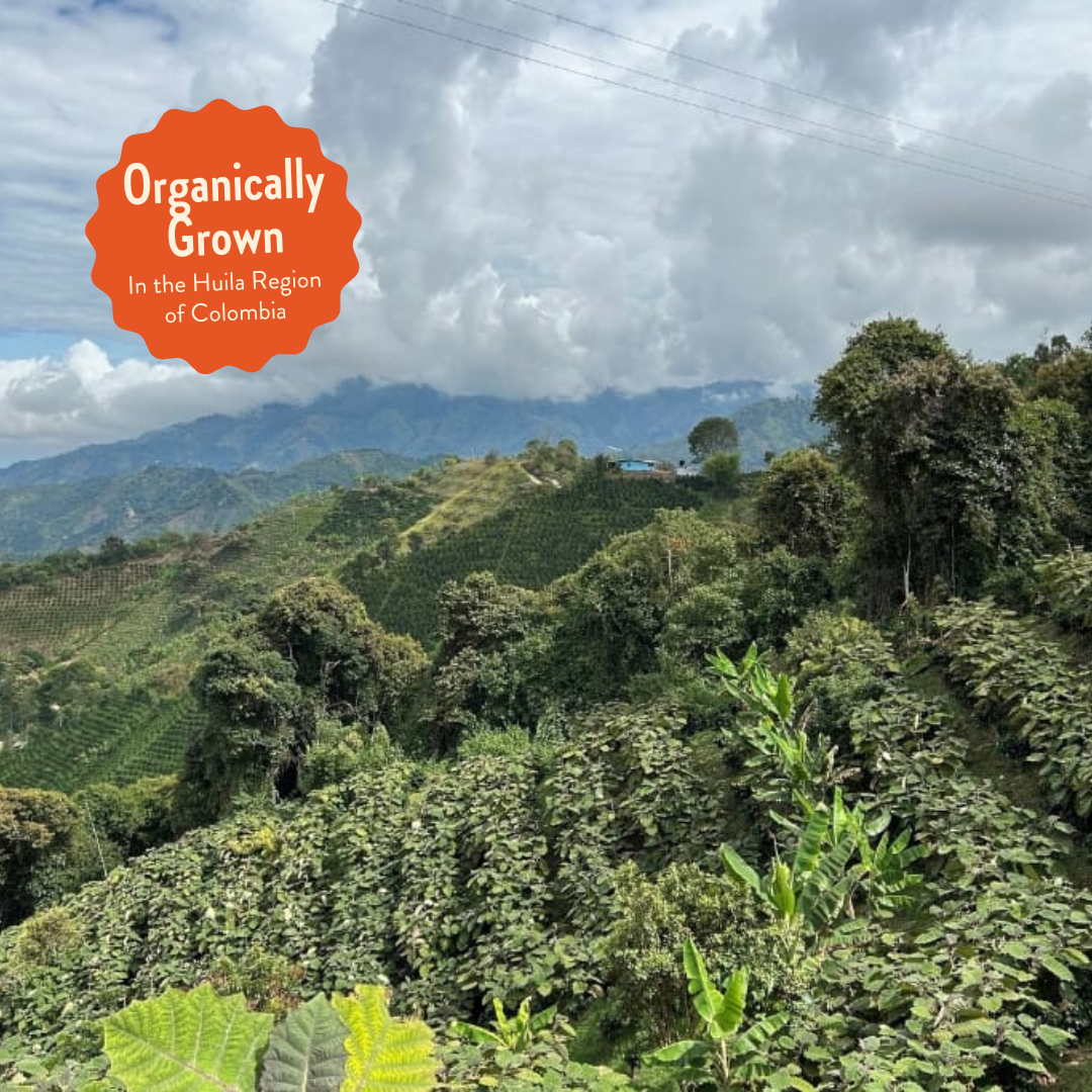 Howler | Decaf Single Origin | Colombia | Sugarcane EA Decaffeinated (Wholesale)