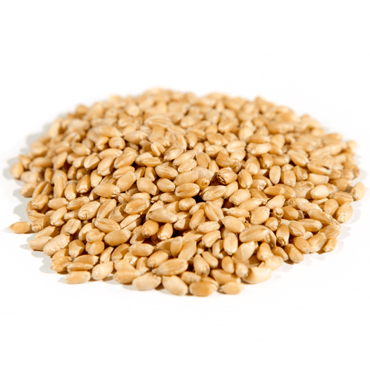 Wheat Berries, Hard White, Organic