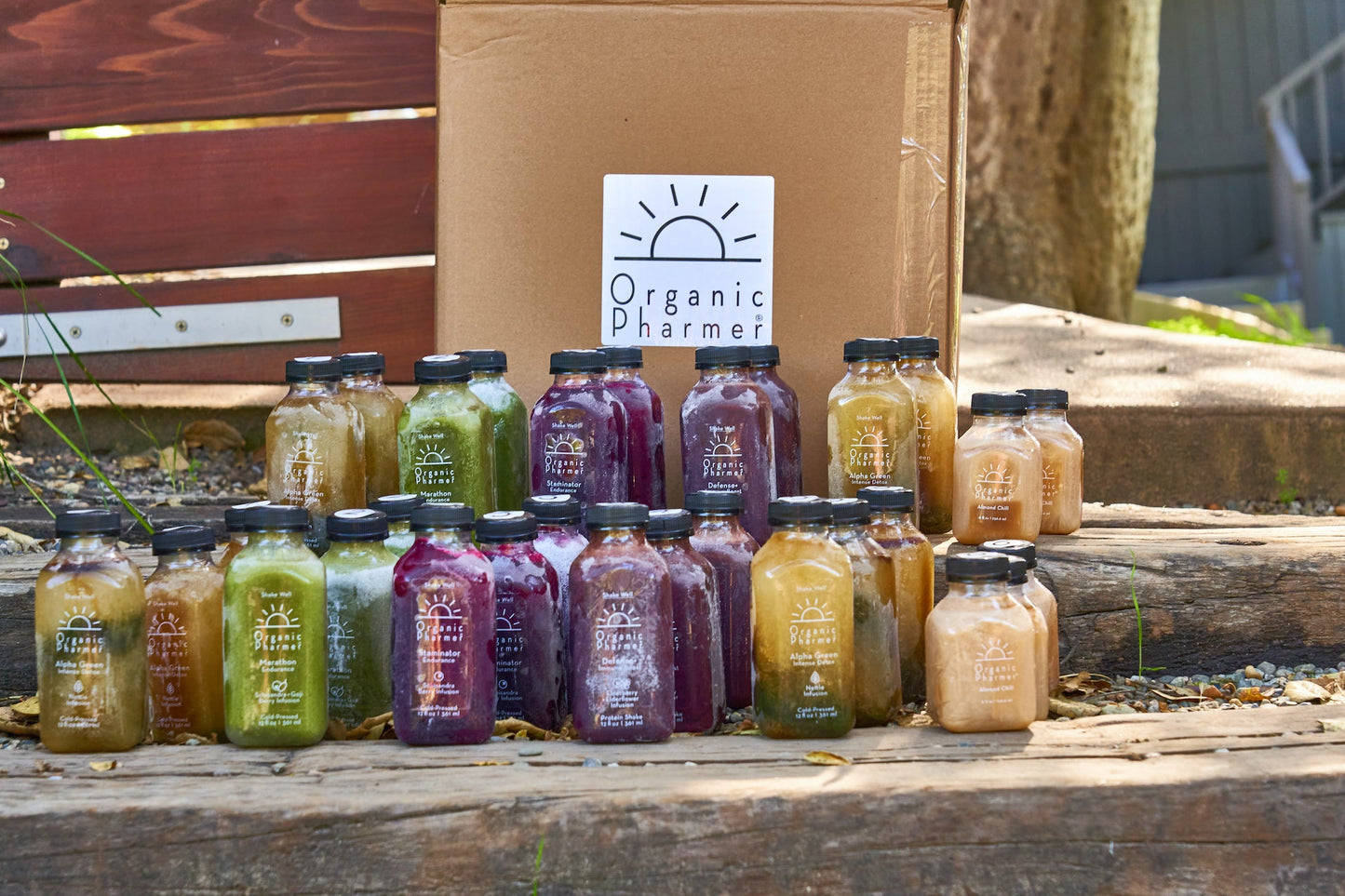 5 DAYS - Detox Functional Cleanse