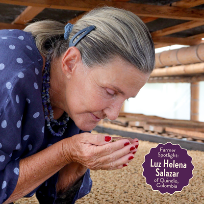 Lil' Red | Decaf Single Origin | Colombia | Swiss Water Process Decaffeinated (Wholesale)