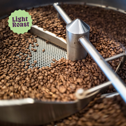 Lil' Red | Decaf Single Origin | Colombia | Swiss Water Press Decaffeinated (Wholesale)