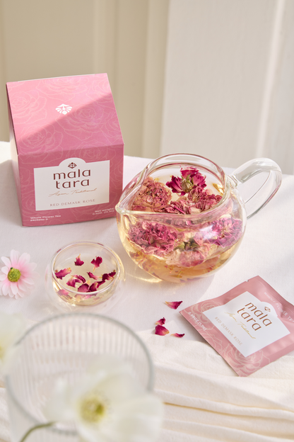 Blooming Starter Gift Box