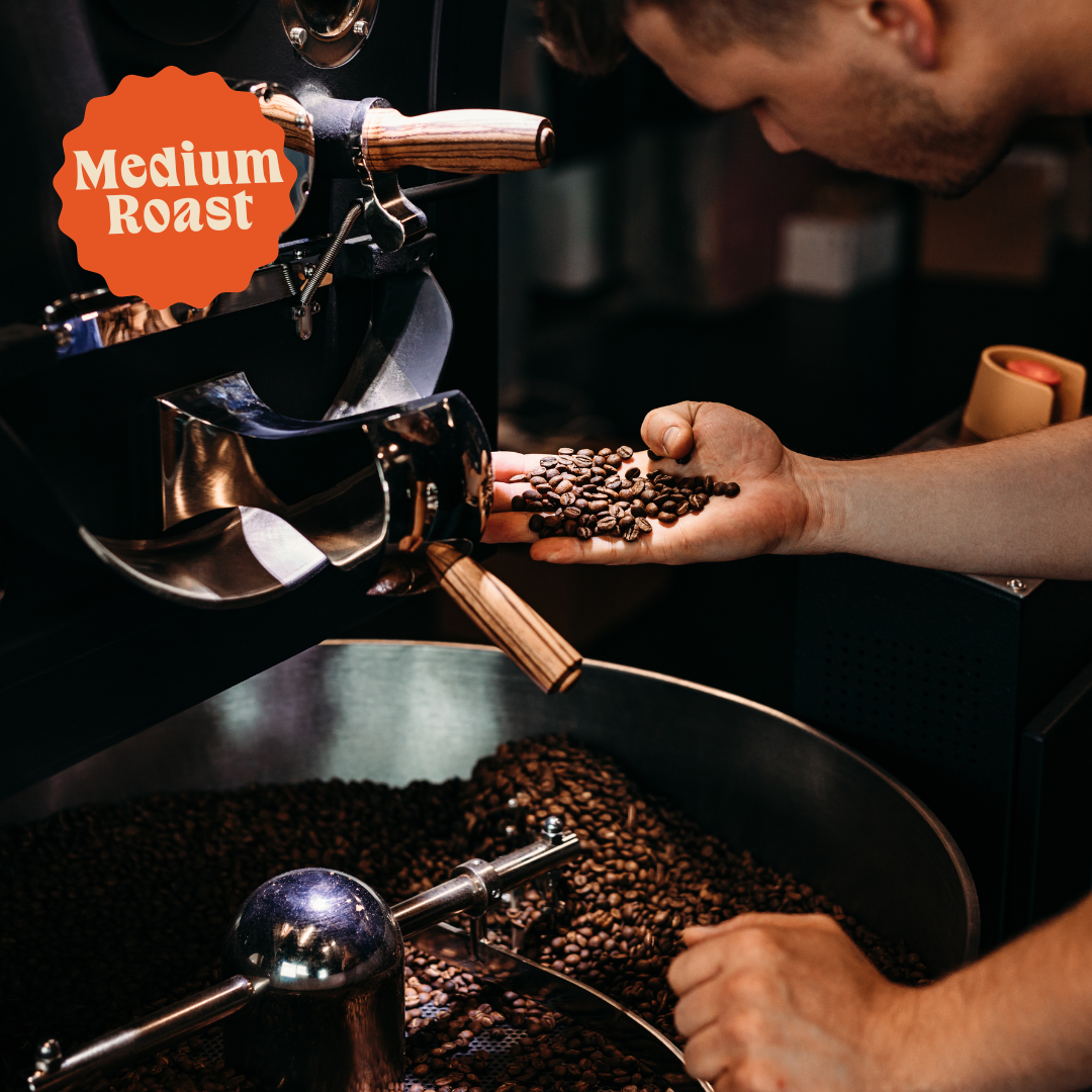 Three Bears | Signature Decaf Blend | Colombia & Mexico | Naturally Decaffeinated (Wholesale)