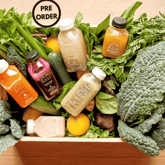 Organic Botanical Beverage Variety Pack - 8, 16, 24 Options