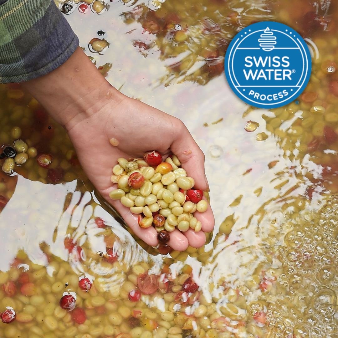 Lil' Red | Decaf Single Origin | Colombia | Swiss Water Press Decaffeinated (Wholesale)